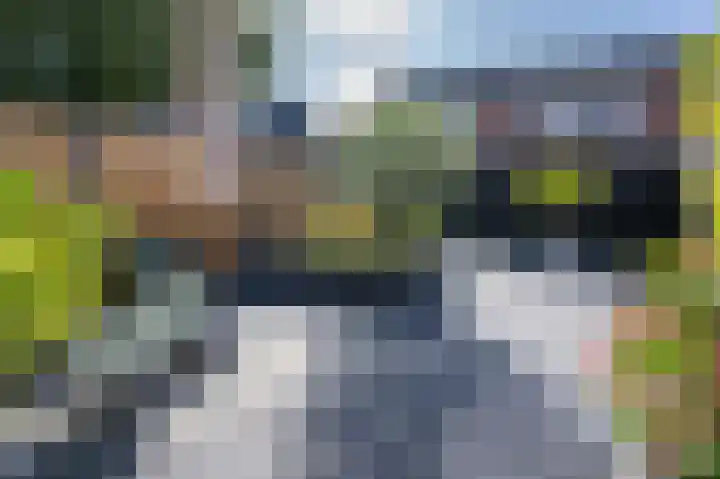 Hazelaar 18 Melissant thumbnail 24