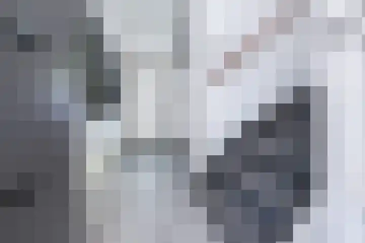 Hazelaar 18 Melissant thumbnail 6