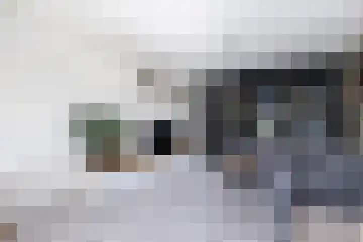 Hazelaar 18 Melissant thumbnail 9