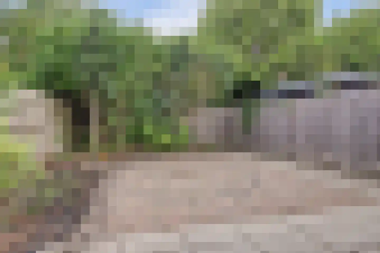 Hazelaar 18 Zeewolde thumbnail 25