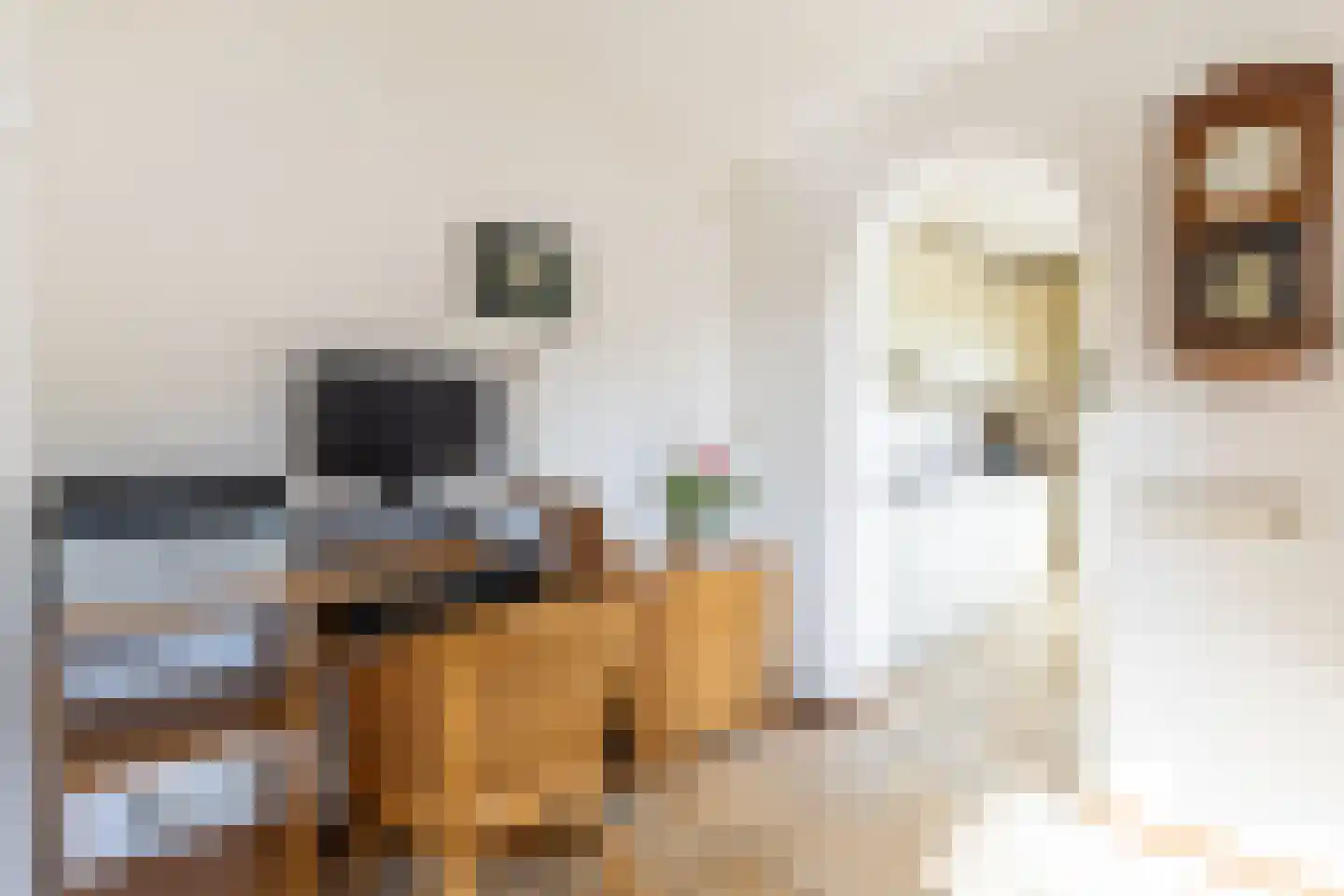 Hazelaar 2 Helvoirt thumbnail 10