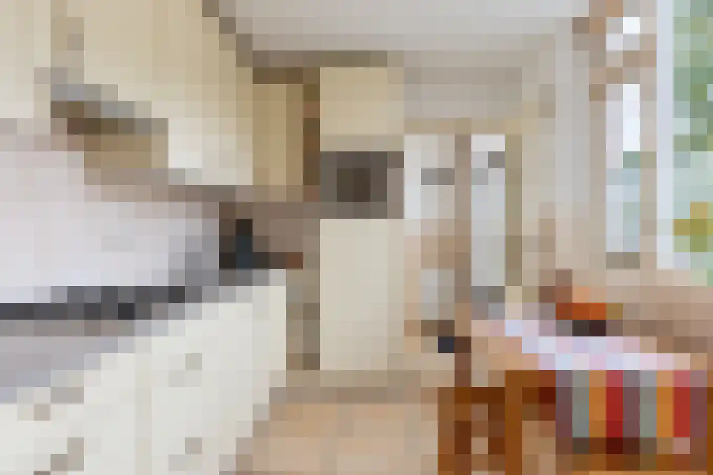 Hazelaar 2 Helvoirt thumbnail 11
