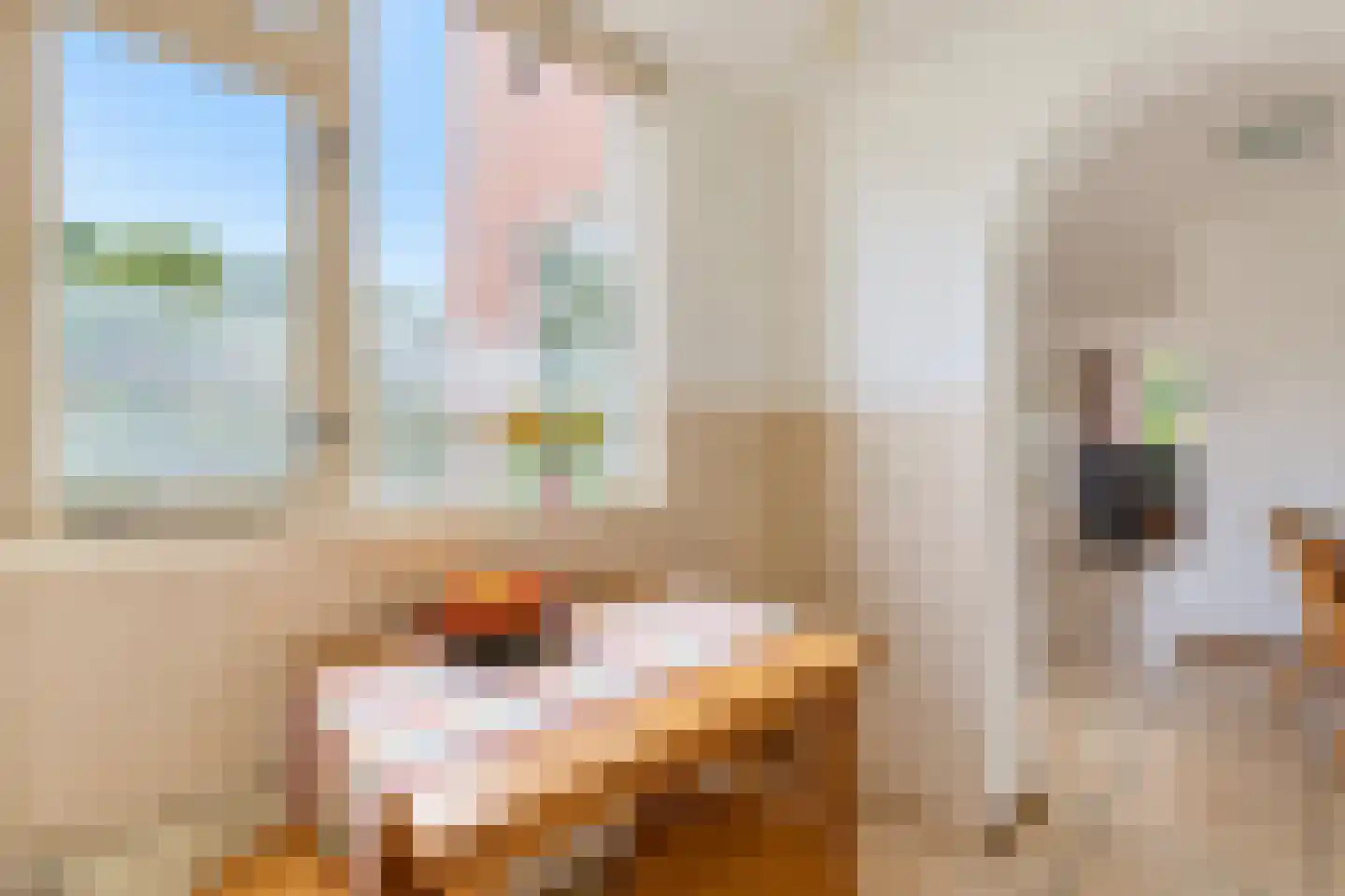 Hazelaar 2 Helvoirt thumbnail 14