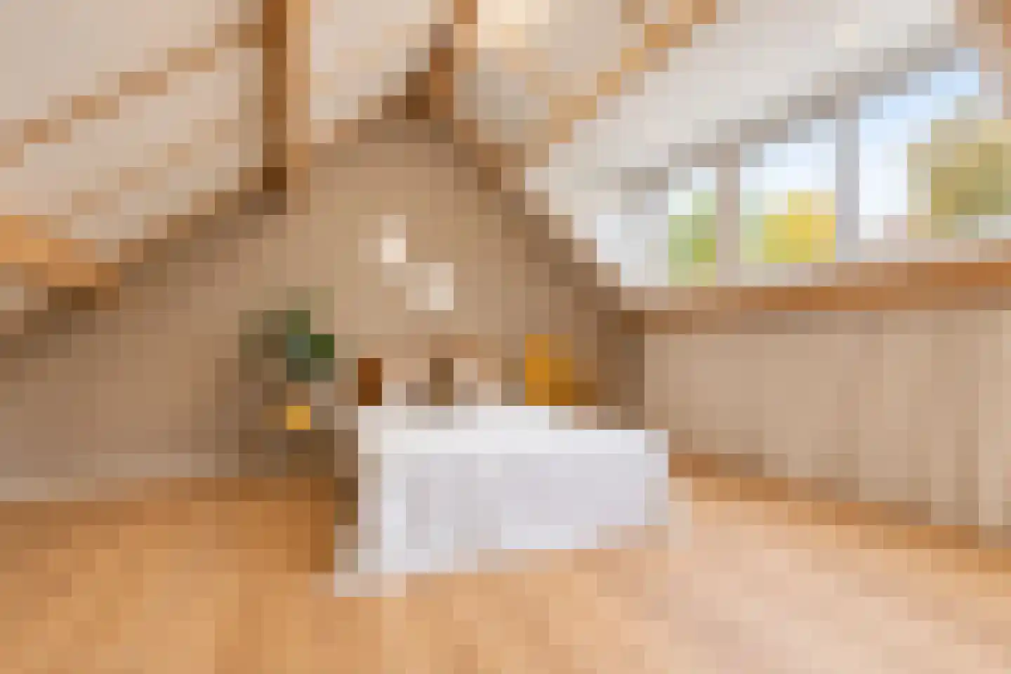 Hazelaar 2 Helvoirt thumbnail 28