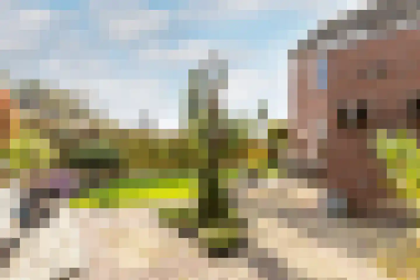 Hazelaar 2 Helvoirt thumbnail 32