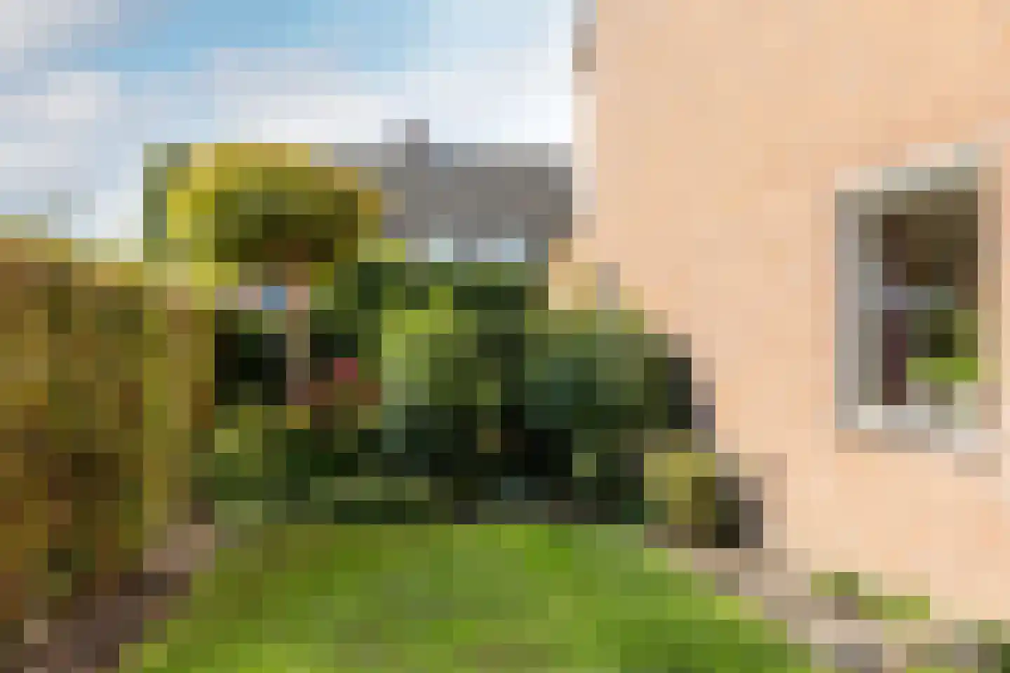 Hazelaar 2 Helvoirt thumbnail 34