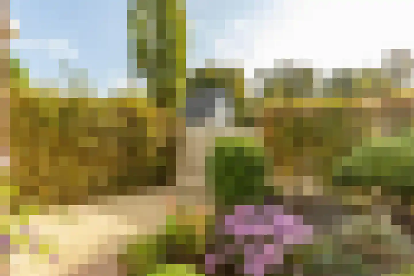 Hazelaar 2 Helvoirt thumbnail 36