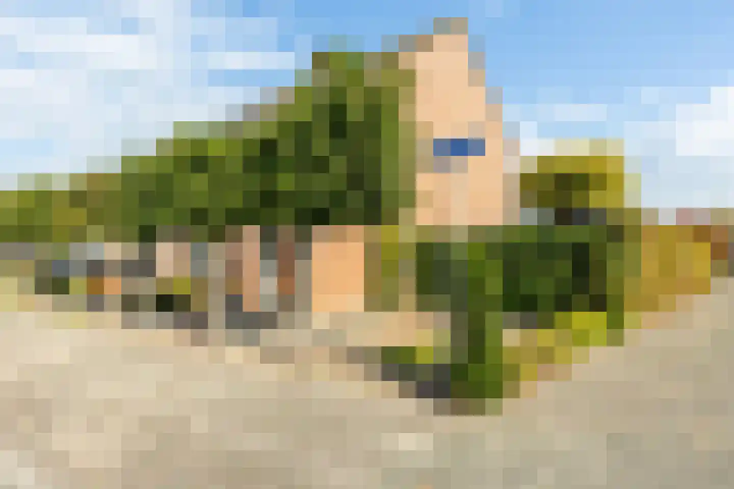 Hazelaar 2 Helvoirt thumbnail 44
