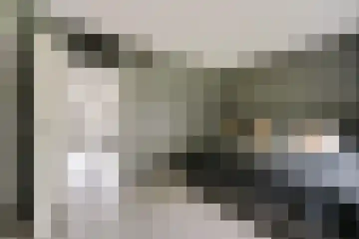 Hazelaar 20 Naaldwijk thumbnail 15