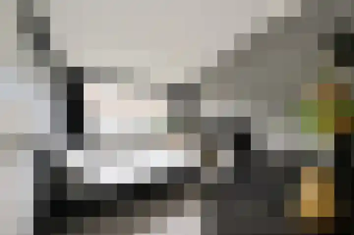 Hazelaar 20 Naaldwijk thumbnail 17