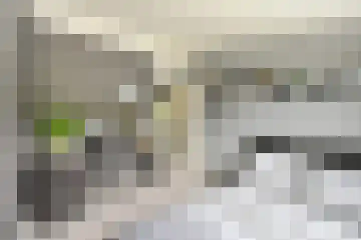 Hazelaar 20 Naaldwijk thumbnail 18