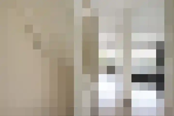 Hazelaar 20 Naaldwijk thumbnail 19