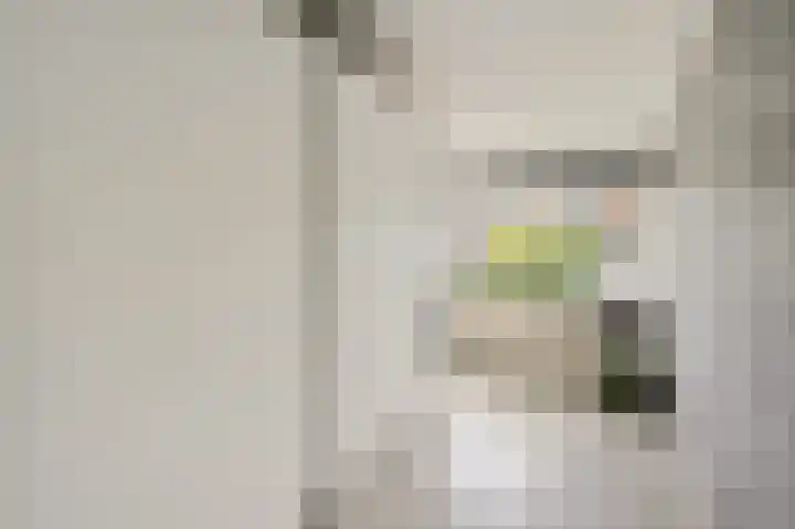 Hazelaar 20 Naaldwijk thumbnail 20