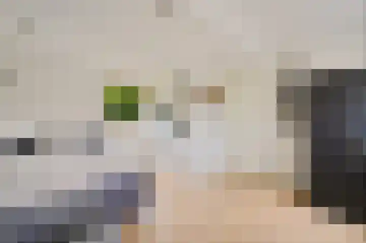 Hazelaar 20 Naaldwijk thumbnail 24