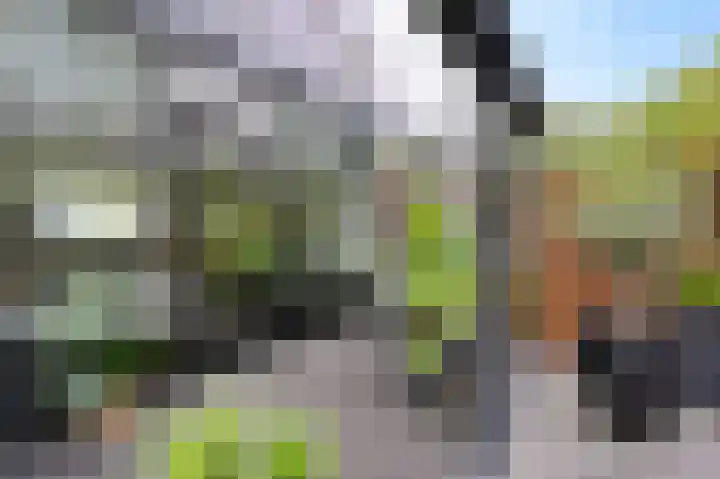 Hazelaar 20 Naaldwijk thumbnail 26
