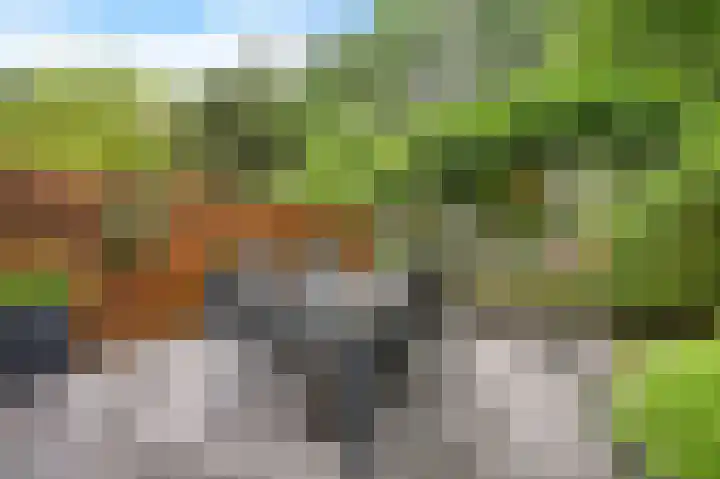 Hazelaar 20 Naaldwijk thumbnail 27
