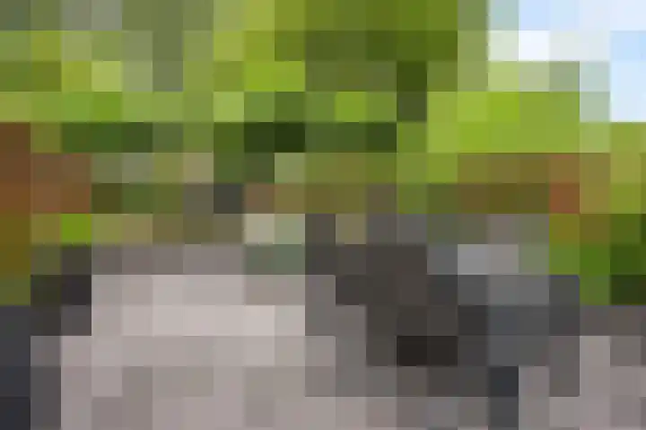 Hazelaar 20 Naaldwijk thumbnail 28