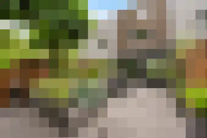 Hazelaar 20 Naaldwijk thumbnail 29