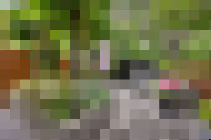 Hazelaar 20 Naaldwijk thumbnail 30