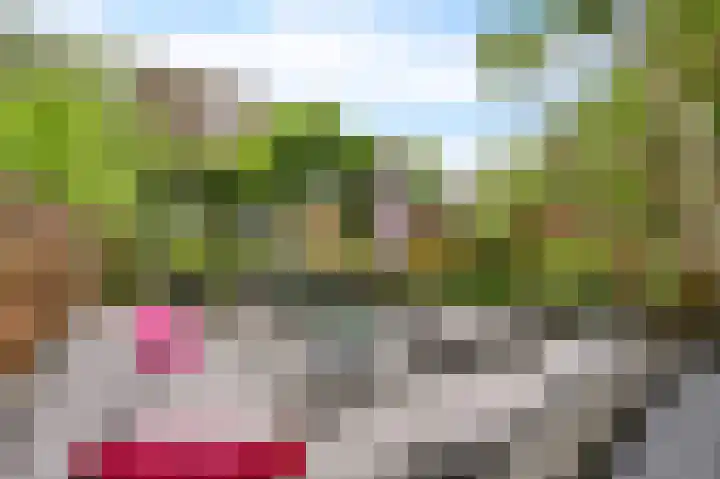 Hazelaar 20 Naaldwijk thumbnail 31