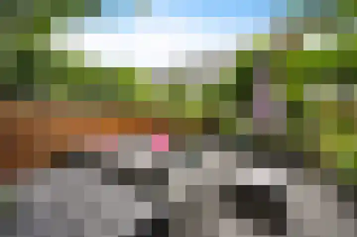 Hazelaar 20 Naaldwijk thumbnail 32
