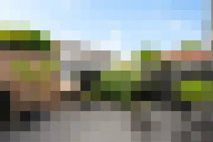 Hazelaar 20 Naaldwijk thumbnail 34
