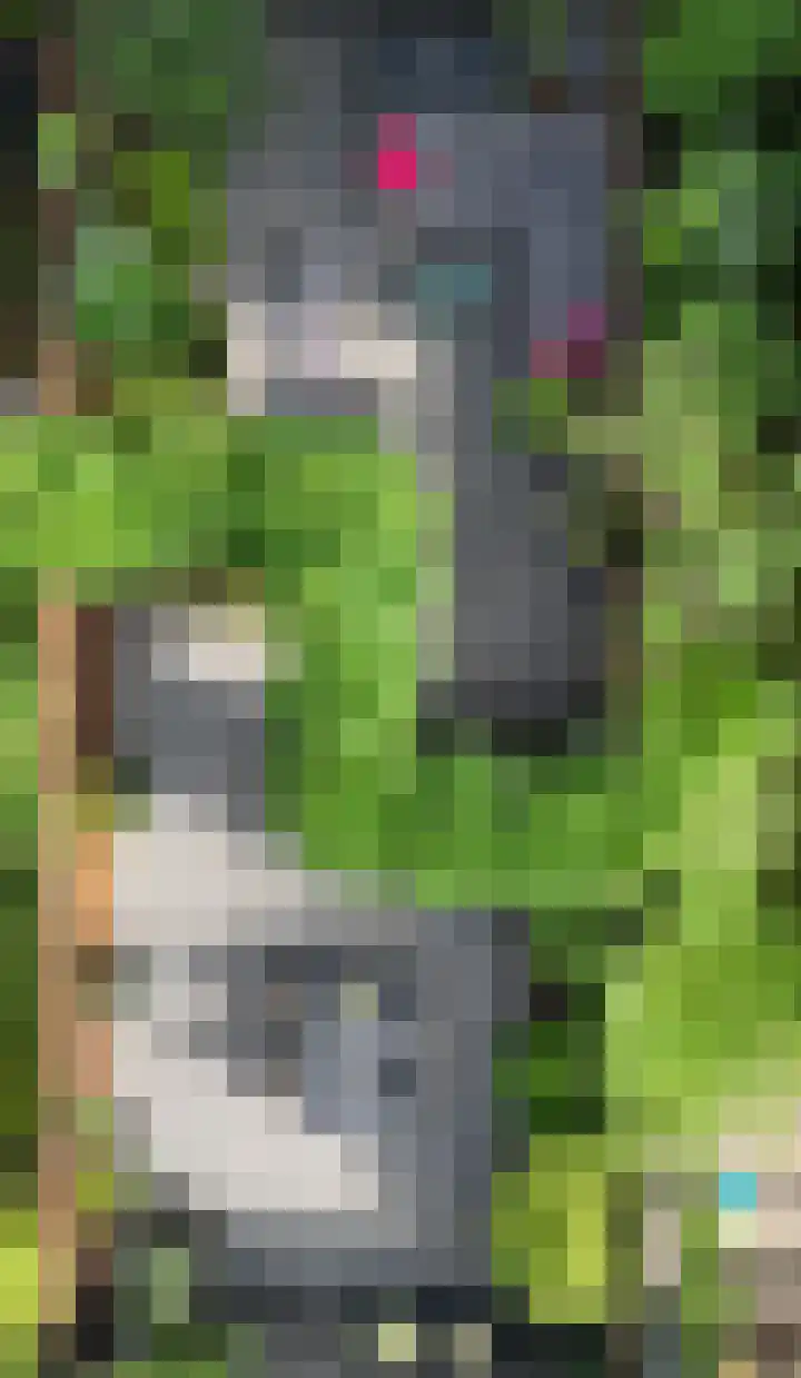 Hazelaar 20 Naaldwijk thumbnail 36