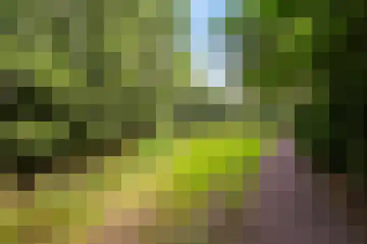 Hazelaar 20 Naaldwijk thumbnail 38