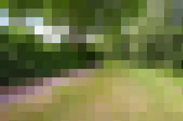 Hazelaar 20 Naaldwijk thumbnail 39