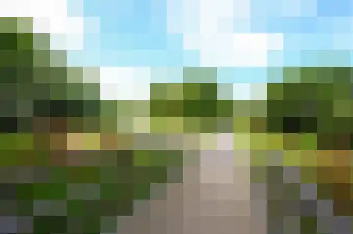 Hazelaar 20 Naaldwijk thumbnail 40