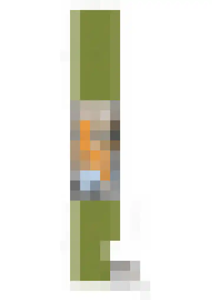 Hazelaar 20 Naaldwijk thumbnail 41