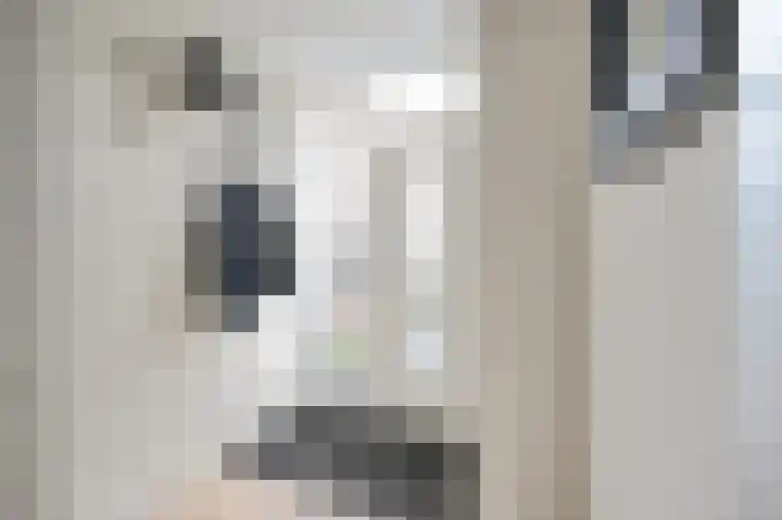 Hazelaar 20 Naaldwijk thumbnail 7