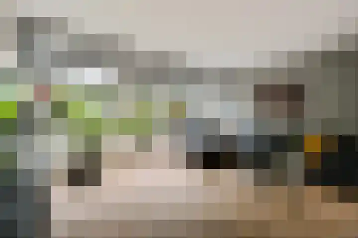 Hazelaar 20 Naaldwijk thumbnail 8