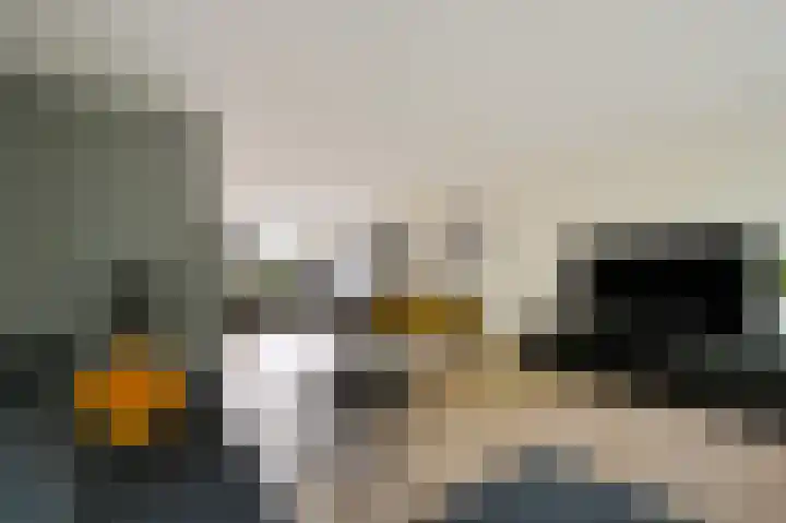 Hazelaar 20 Naaldwijk thumbnail 9