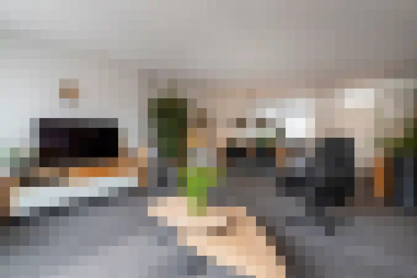 Hazelaar 20 Veenendaal thumbnail 10