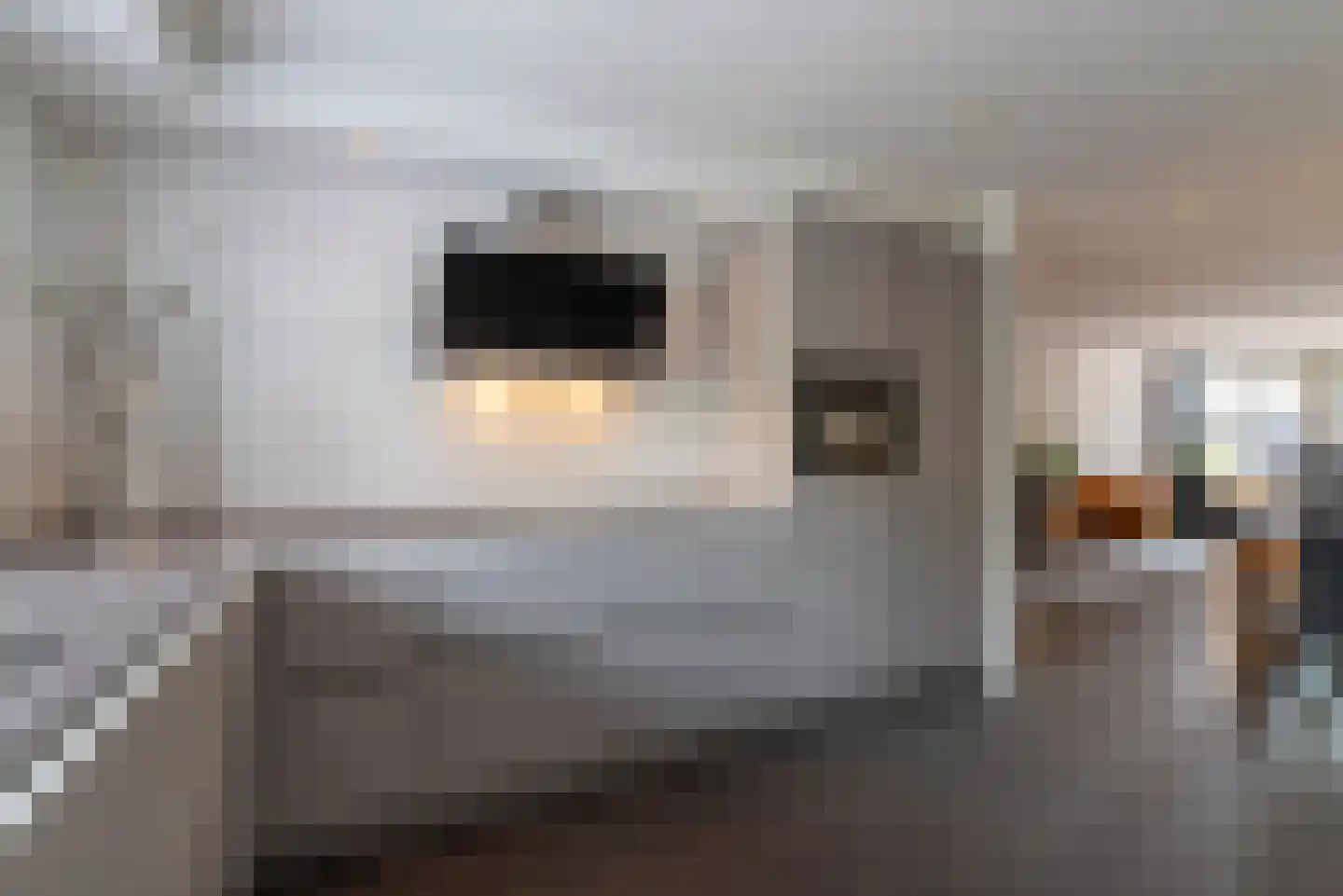 Hazelaar 20 Veenendaal thumbnail 15