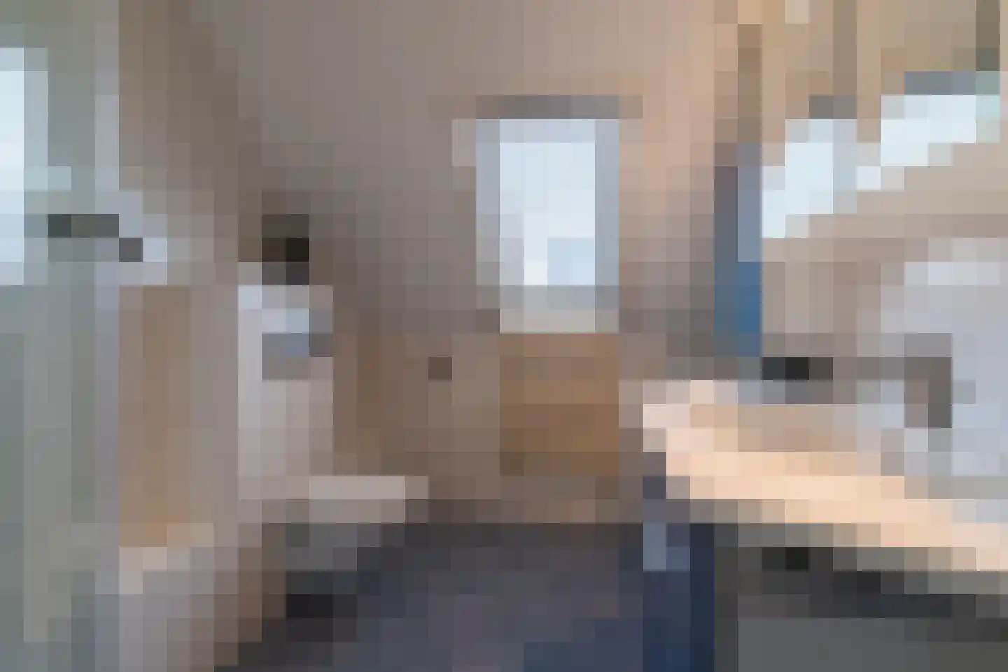 Hazelaar 20 Veenendaal thumbnail 19