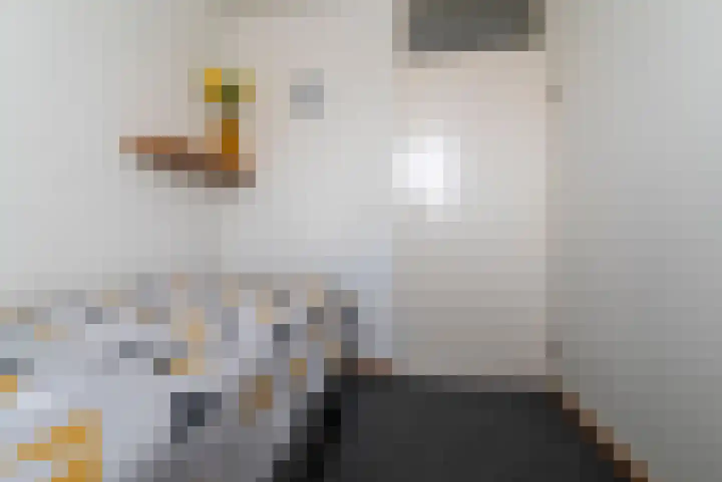 Hazelaar 20 Veenendaal thumbnail 22