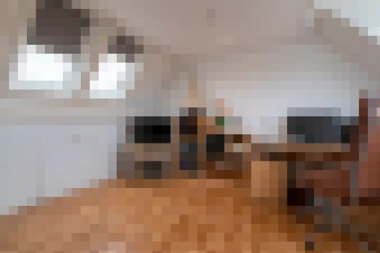 Hazelaar 20 Veenendaal thumbnail 28