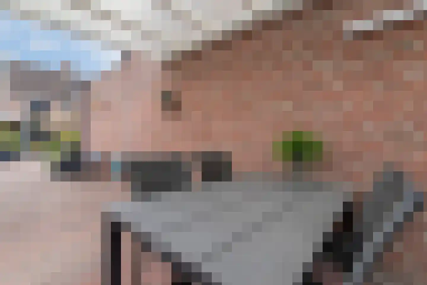 Hazelaar 20 Veenendaal thumbnail 35