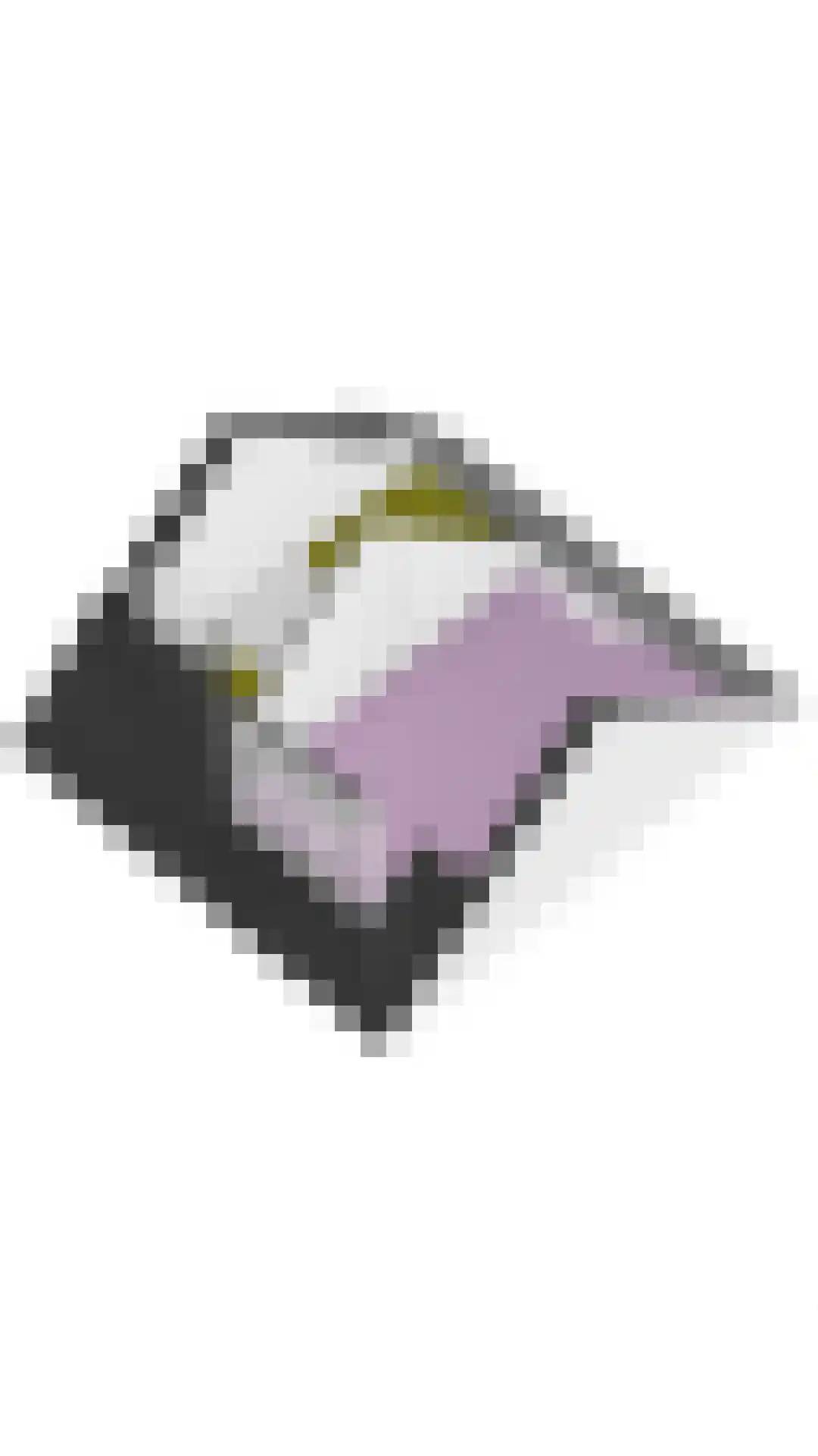 Hazelaar 20 Veenendaal thumbnail 46