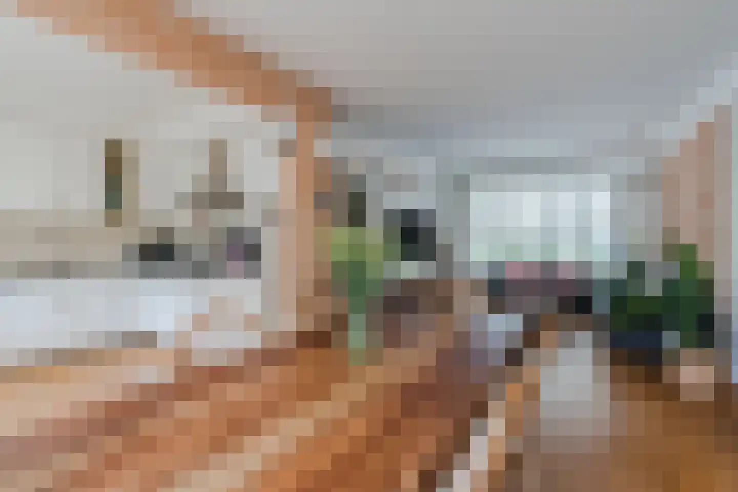 Hazelaar 27 Geldrop thumbnail 21