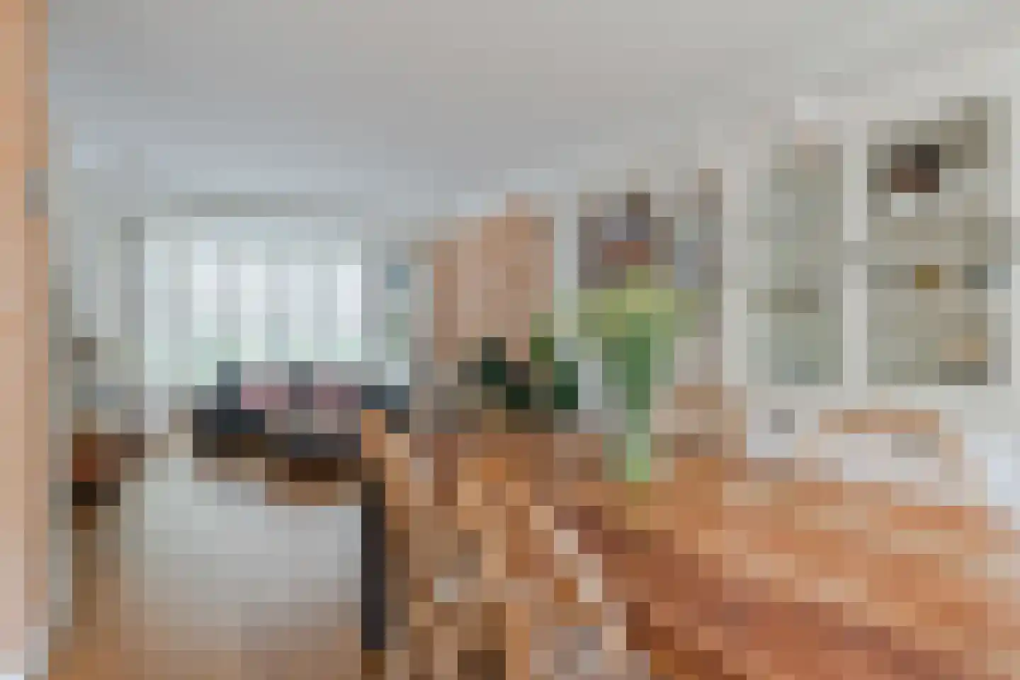 Hazelaar 27 Geldrop thumbnail 23