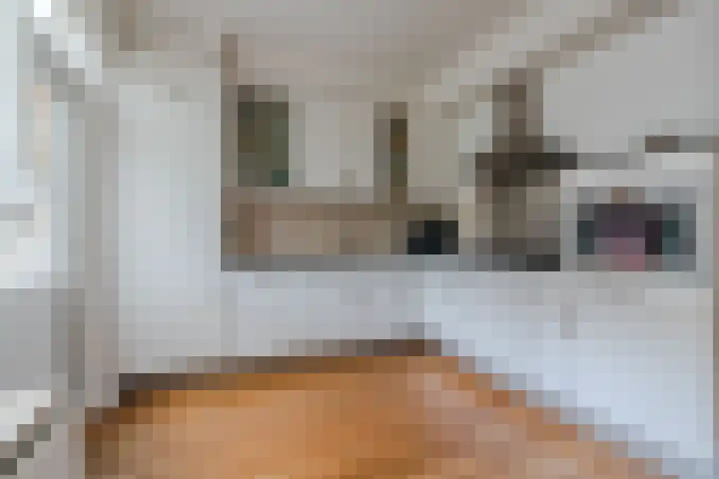 Hazelaar 27 Geldrop thumbnail 25