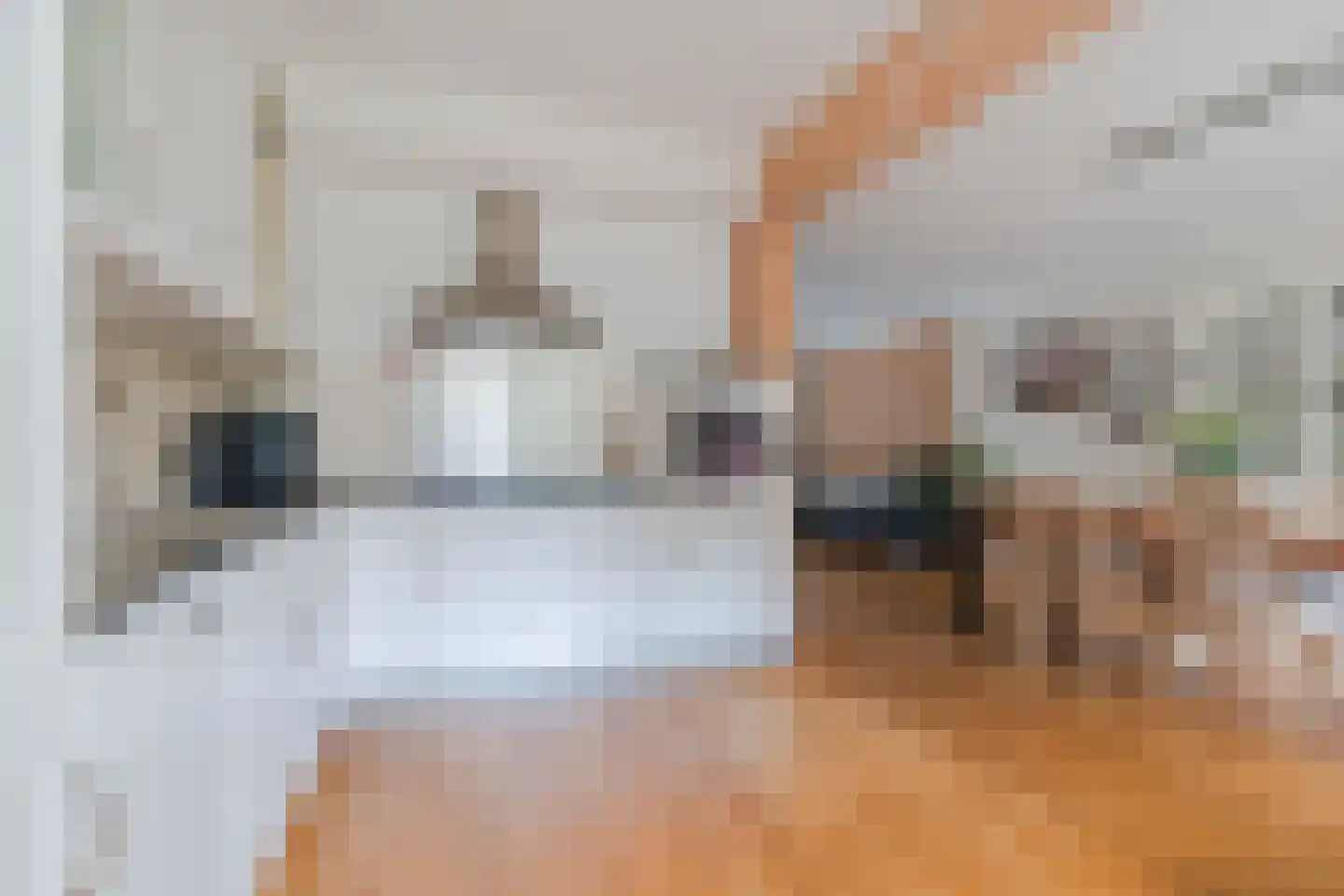 Hazelaar 27 Geldrop thumbnail 26