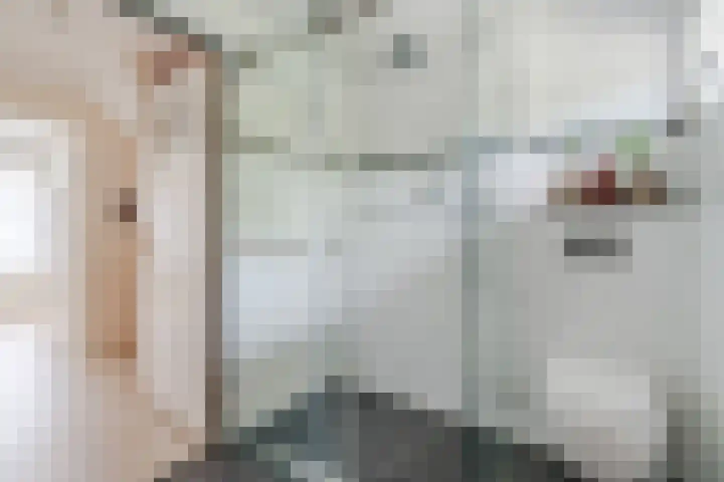 Hazelaar 27 Geldrop thumbnail 36