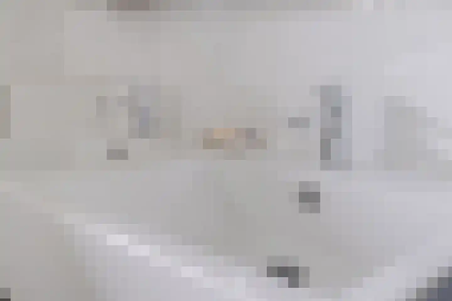 Hazelaar 27 Geldrop thumbnail 38