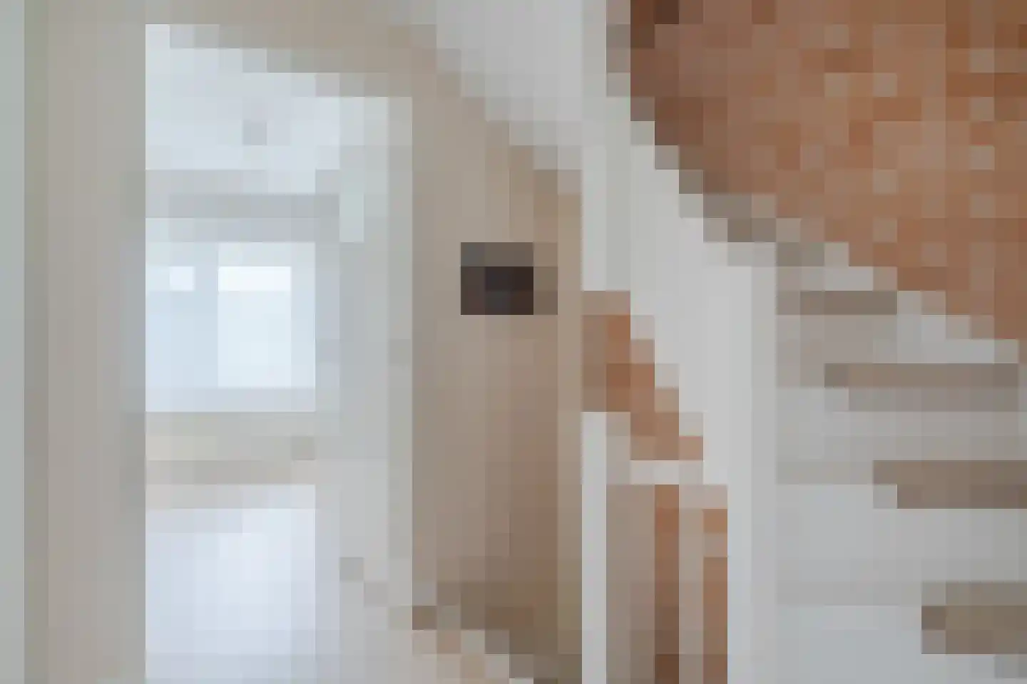 Hazelaar 27 Geldrop thumbnail 39