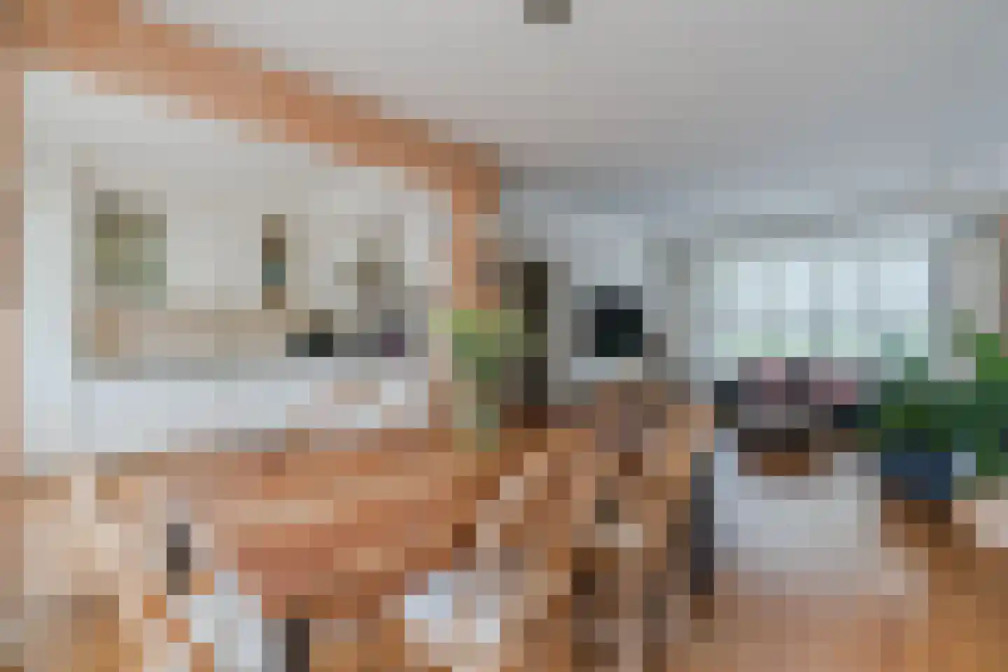 Hazelaar 27 Geldrop thumbnail 4