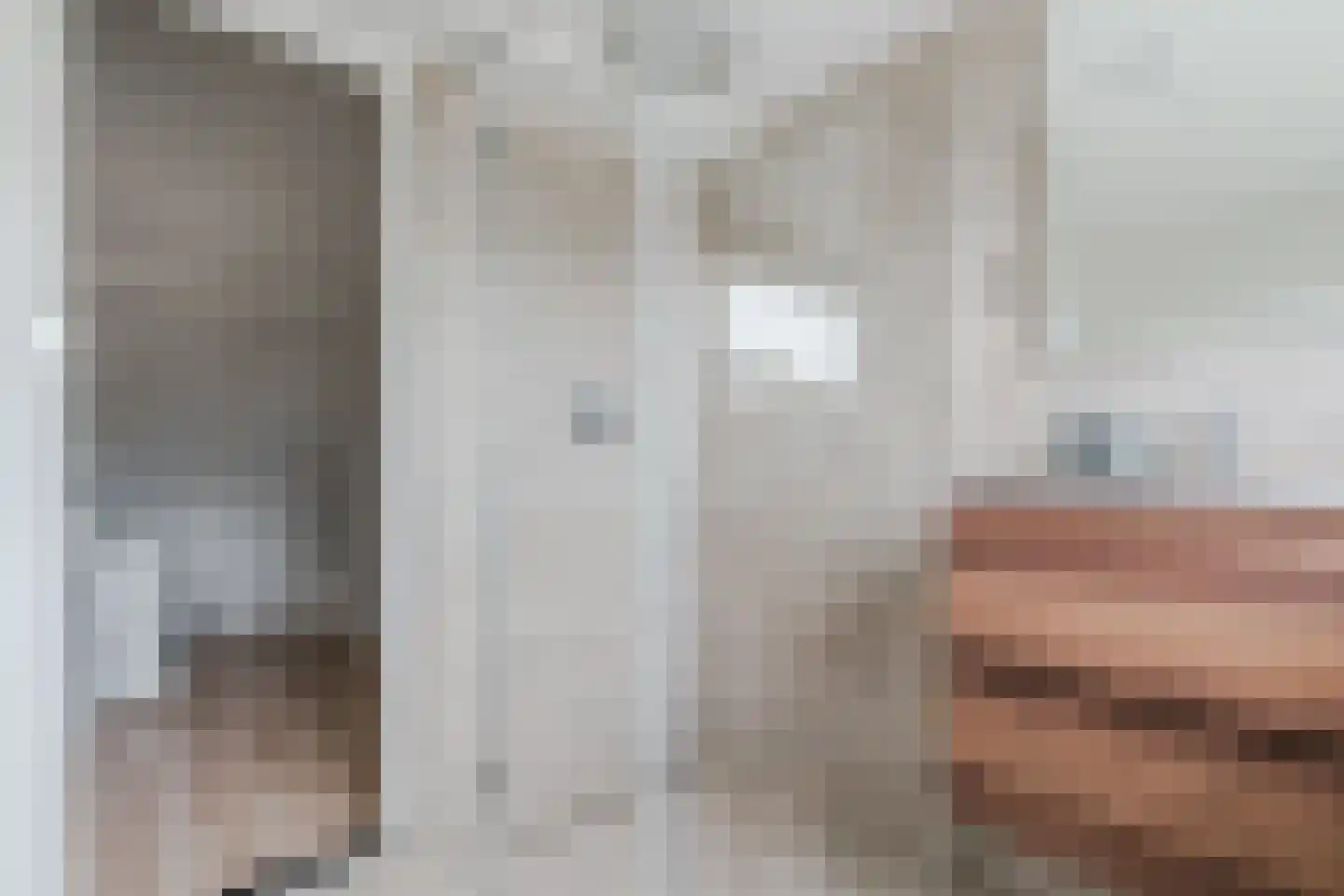 Hazelaar 27 Geldrop thumbnail 44